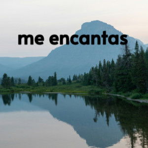 me encantas by randy