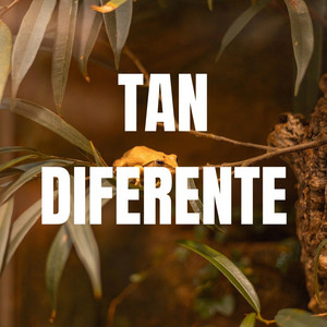 TAN DIFERENTE by yayoki