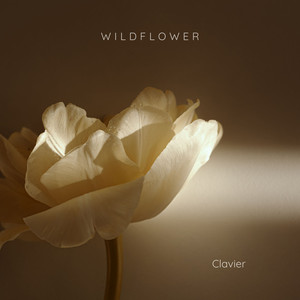 WILDFLOWER (Piano Version)