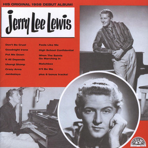 ジェリー・リー・ルイス　レコードまとめ売り　JERRY LEE LEWIS LEE LEWIS ジェリー・リー・ルイス　レコードまとめ売り　JERRY