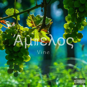 Vine by Remi Prince, Java