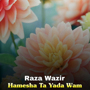 Raza Wazir - Mung Kho Akhtiar Da Bal Cha Na Mano