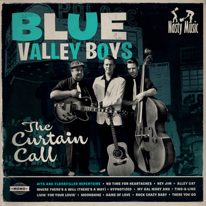 Hypnotized by Blue Valley Boys
