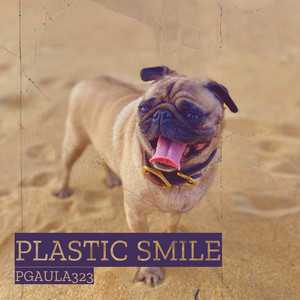 Plastic Smile by PgAula323