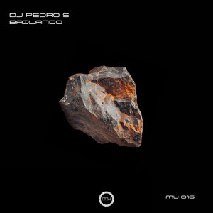 DJ Pedro S - Bailando