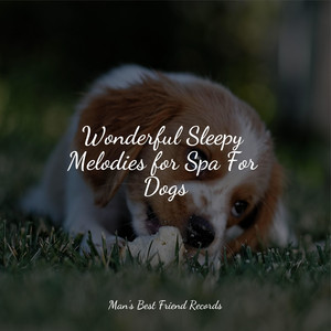 Wonderful Sleepy Melodies for Spa For Dogs album