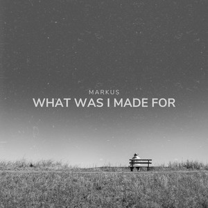 MARKUS - What was I made for
