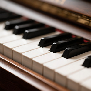 نشاط طوب - سيدي احمد ضيف عند المحاين