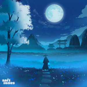 Beneath the Midnight Veil by E M I M O