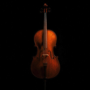 Cello Waltz Mozza by Autumn Steps, Cozy Coffee Shop, Chien Do