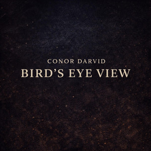 Bird's Eye View by Conor Darvid