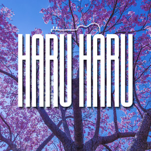 Haru Haru by String Reverie