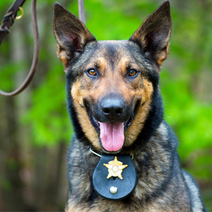 De Kakkers - Malinwa Anthem