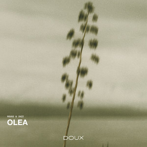 Olea by Rouge & Jazz