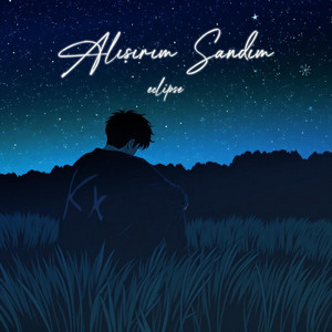 Alışırım Sandım
