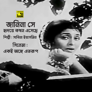 Sabina Yasmin - Janina Se Hridoye kokhon Esechhe (Original Motion Picture Soundtrack)
