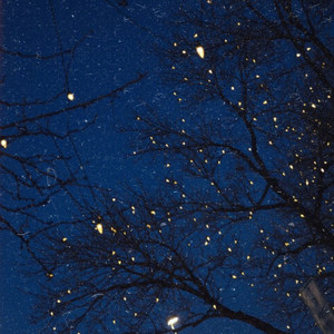 Fireflies
