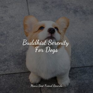 Buddhist Serenity For Dogs album