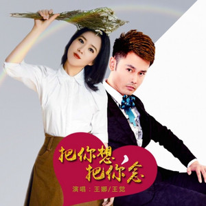 把你想,把你念 - DJ宇轩蓝调版 by 王娜, 王觉, 宇轩