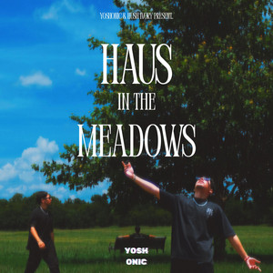 haus in the meadows.