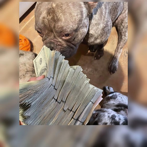 Junkie Monkey Ft.LuhNick