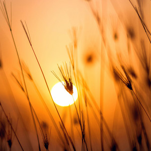 Intezaar by Deep., Roop
