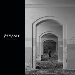 Portada de Destiny