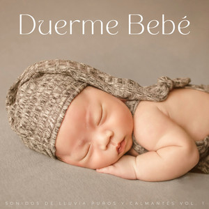 Duerme Bebé: Sonidos De Lluvia Puros Y Calmantes Vol. 1 album