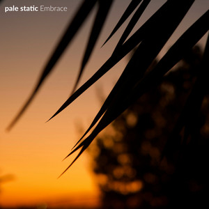 what if? by pale static