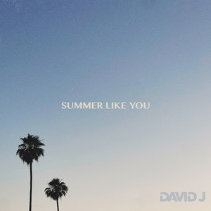 Summer Like You by David J