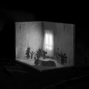 Plantas y Barro by El Último Vecino