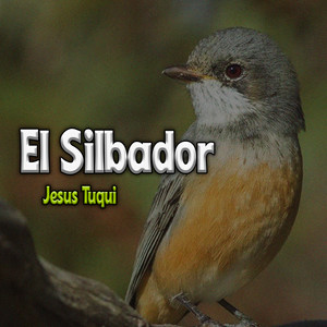 El Silbador by Jesus Tuqui