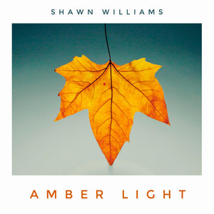 Shawn Williams - Amber Light