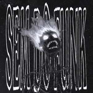 SEM DO FUNK - SLOWED by yours.