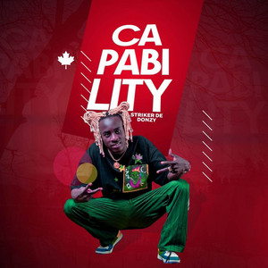 Striker De Donzy - Capability