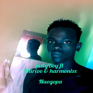 pittyBoy - Naogopa (Remix)