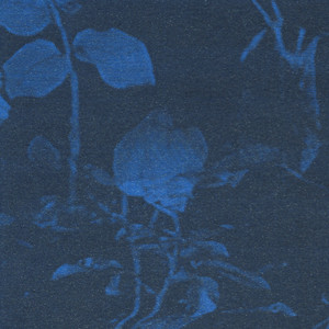 Sorry for Everything by Sunken
