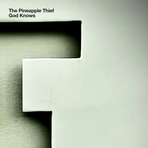 God Knows by The Pineapple Thief