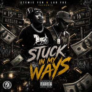 Stuck In My Ways by Stewie, Lud Foe