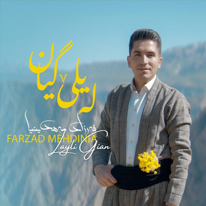 Farzad Mehdi Nia - Layle Giyan