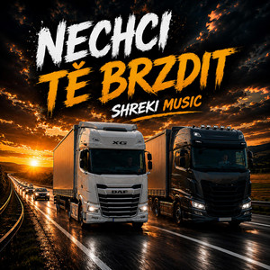 Nechci tě brzdit by Shreki Music