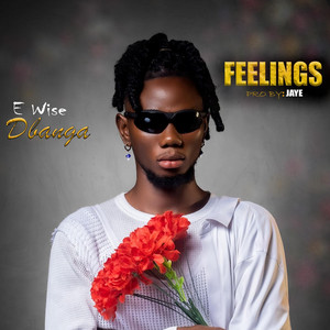 Feelings by E wise Dbanga