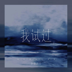 我试过 by 张德伊玲