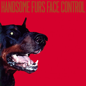 Face Control cover