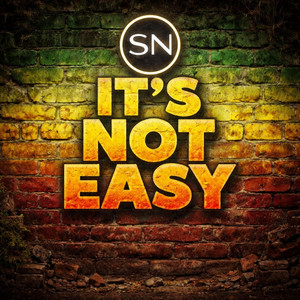 It's Not Easy by SignalNoirReworks