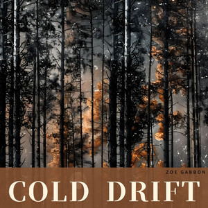 Cold Drift by Zoe Gabbon