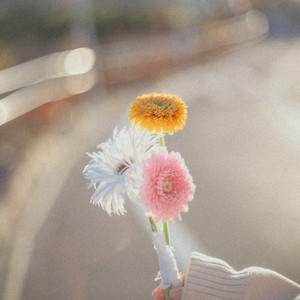 A Day to See You