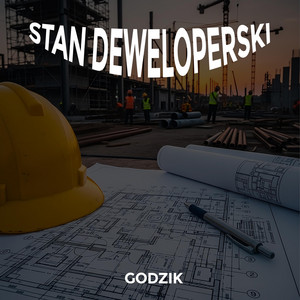 STAN DEWELOPERSKI ALE TO VIXA by godzik