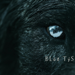 Blóð Týs (The Blood of Týr) by Kveldor