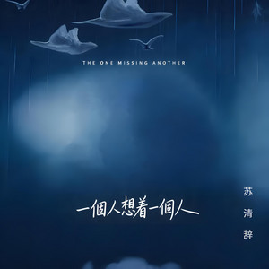 一个人想着一个人 by 苏清辞